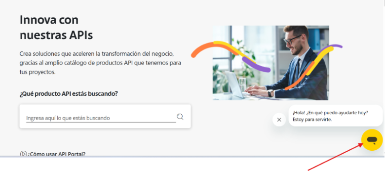 Imagen 6
Captura del Portal de APIs 6